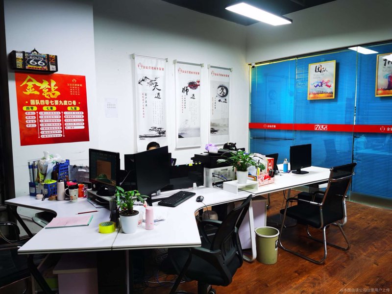 项目可行性报告：解锁成功的钥匙