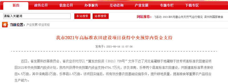 市场调查揭示行业新风向